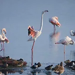 Marina Azzurra * Lignano Sabbiadoro